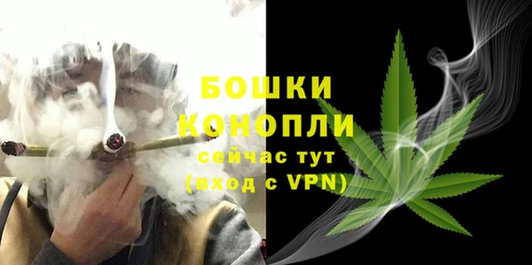 мдпв Корсаков