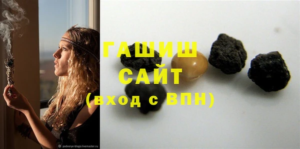 индика Краснослободск
