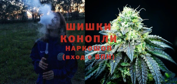 мдпв Корсаков