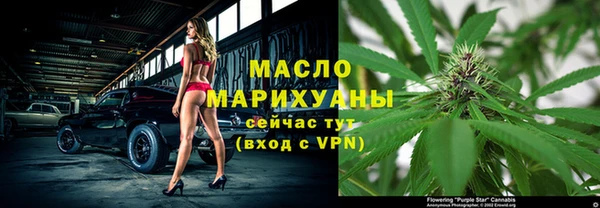 индика Краснослободск