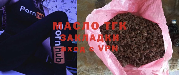 индика Краснослободск