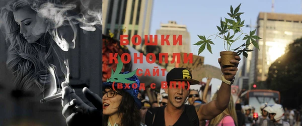 мдпв Корсаков